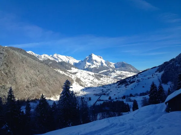 Wildhauser Schafberg