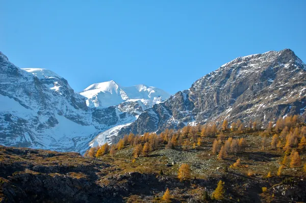 Piz Palü vom Berninapass aus gesehen