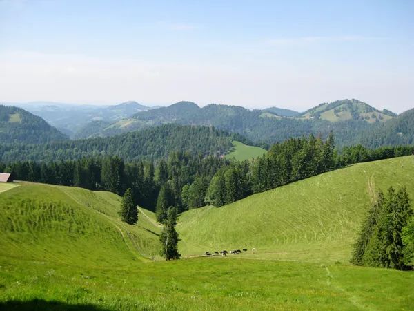 Tössbergland-Idylle