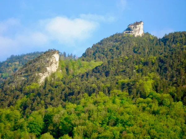 Bütziflue und Stockflue ragen aus dem Wald