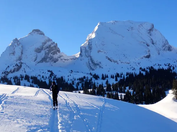 Dem Brisi entgegen - der steht ziemlich bockig da.
