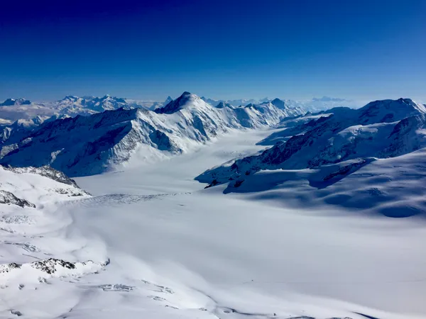 Ewigschneefeld und Aletschgletscher