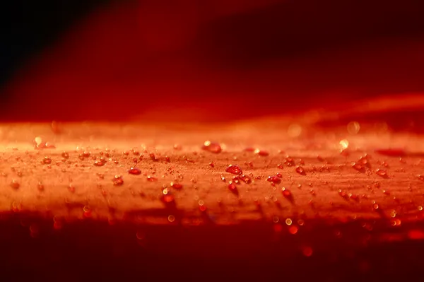 Tautropfen auf dem Biwaksack