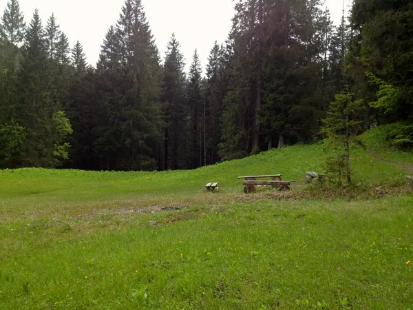 Lauschiges Plätzchen auf dem Weg nach Stein SG