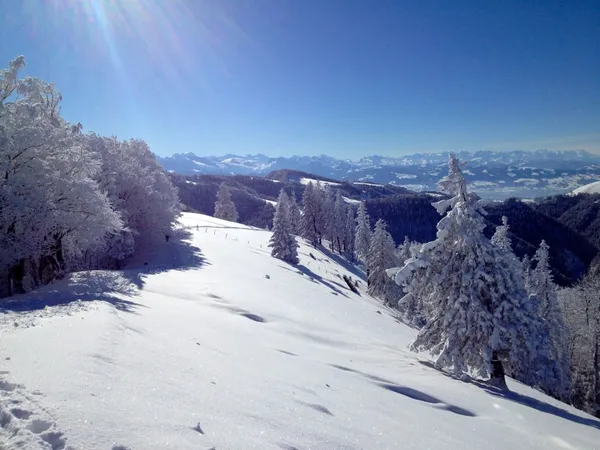 Blick Richtung Voralpen
