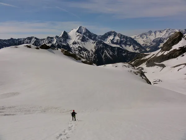 Schneller Abstieg mit den Schneeschuhen über den Stäfelifirn. Der Gletscher ist noch gut eingeschneit.