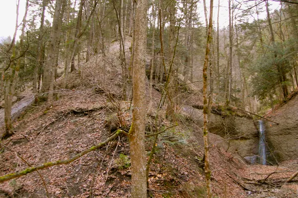 Der Geländesporn am Hörnli
