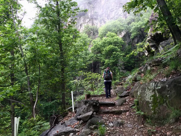 Aufstieg durchs Grün.