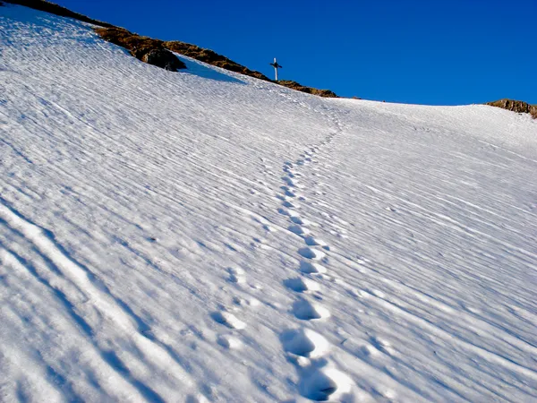 Vorgespurter Aufstieg zum Vanil de l'Ecri