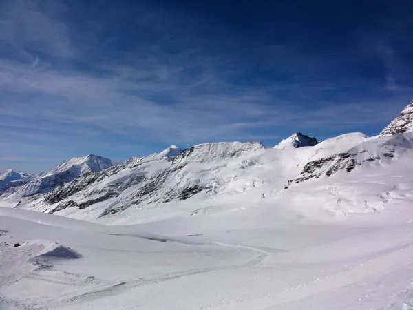 Blick vom Jungfraujoch über den Jungfraufirn zum Louwitor