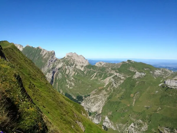 Altenalptürm - Schäfler