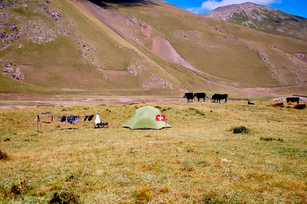 Wäscheleine gespannt, Zelt aufgestellt und Flagge gehisst