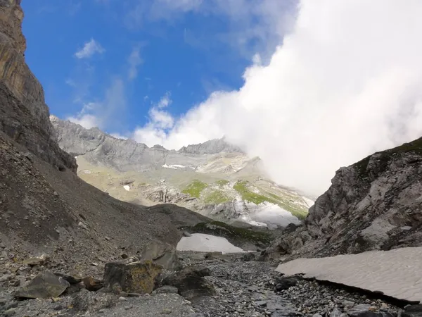 Rückblick zum Ringel