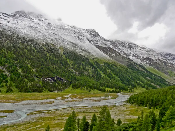 Schnee im Sommer führt zu tollen Farbkombinationen