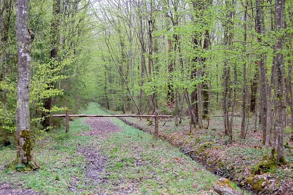 Hier geht's nicht mehr weiter: Grenze zu Frankreich