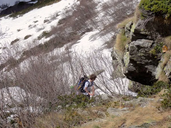 Matthias kämpft sich durch die Büsche