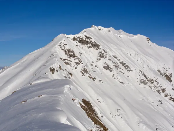 Blick vom Tierberg zum Seewlehore