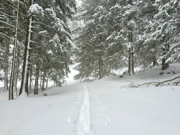 Da hat jemand schon gespurt. Danke!