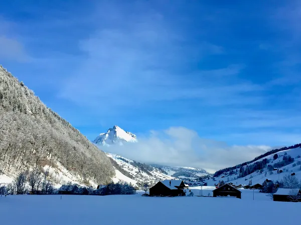 Starkenbach - Blick zum Wildhuser Schafberg