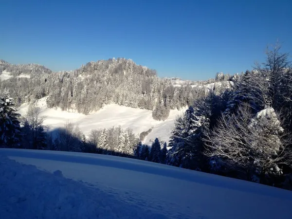 Blick hinüber zum Chatzenböl / Burstel