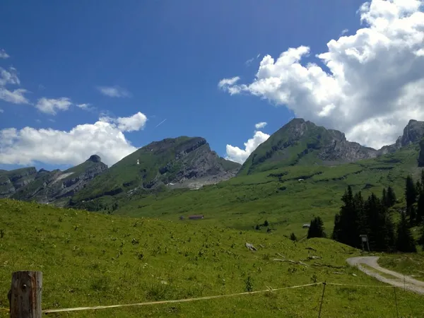 Blick zurück von der Terrasse im Strichboden