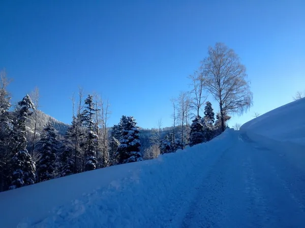 Auf der Fahrstrasse zum Eggweg